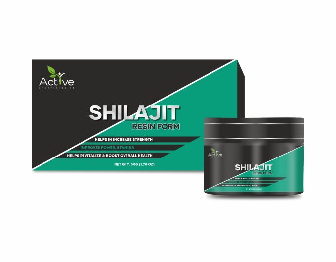 ACTIVE AYURVEDIC LIFE SILAJIT RESIN FORM